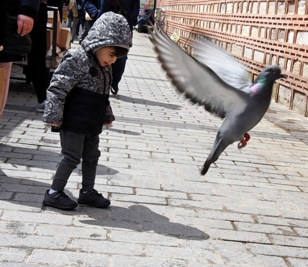 İstanbul’un kadim kuşçular çarşısı
