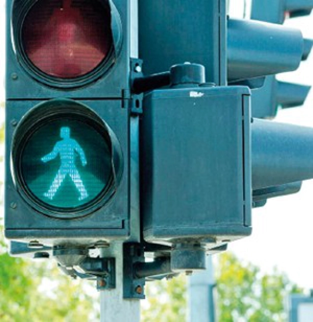 Ayrık otları temizleyip hayvanları güdüyor