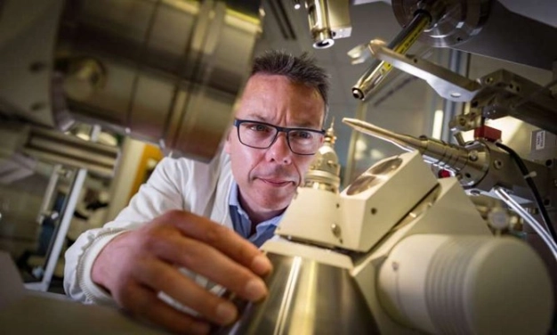 Tarlalara robot ördek geliyor