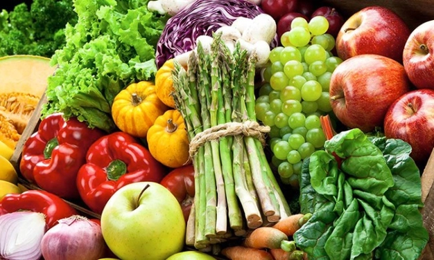 Türk gıda sektörü İstanbul’da buluşacak