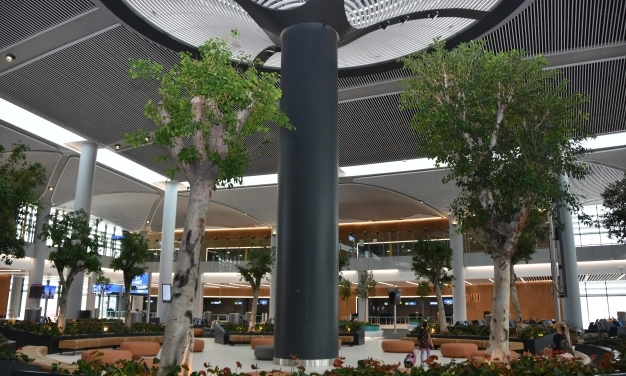 24/7 Export and living center Istanbul Airport