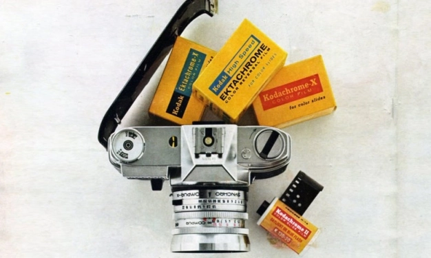 Dijitale dönüştüler büyümeyi katladılar