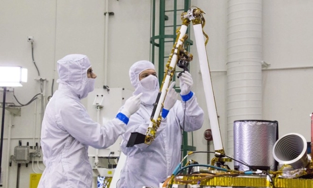 Teşvikte mikro cerrahi dönemi