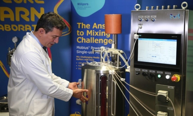 Teşvikte mikro cerrahi dönemi