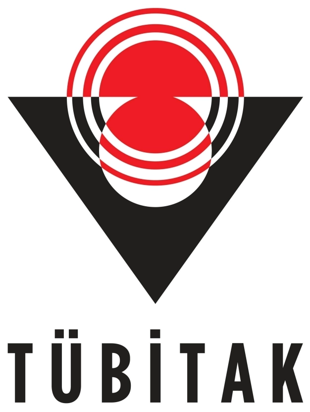 Teşvikte mikro cerrahi dönemi