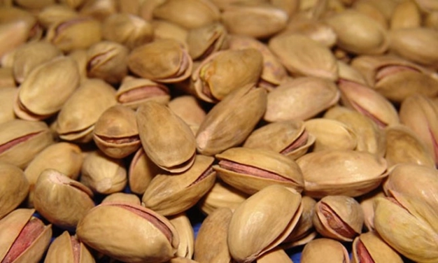 Avrupa’ya ihracatta rapor şartı