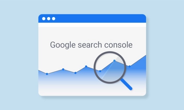 Seo’nun Gizemli Kaptanı: Search Console Ne işe yarar?