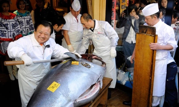 ‘Göçen balığı kaçırmayalım’
