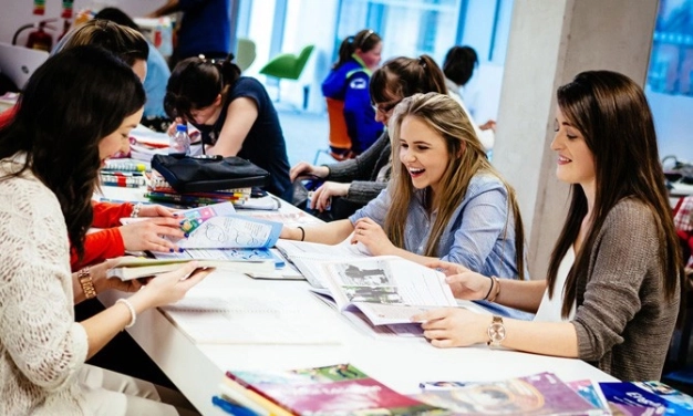 Eğitimde franchise fırsatı