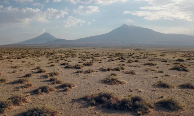 Çorak toprakta bile tarım yapılabilecek
