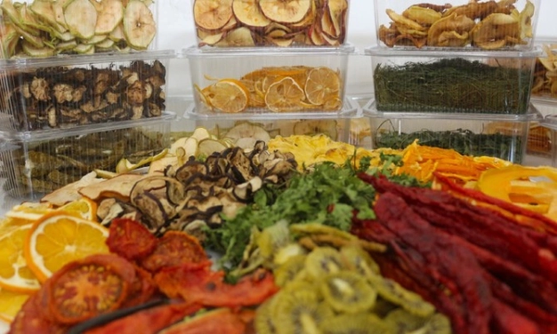 Hindistan’da 20 milyar dolarlık fırsat