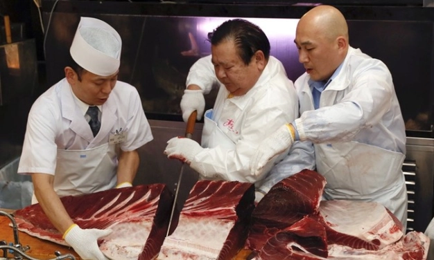 Akdeniz’de büyük balık mücadelesi