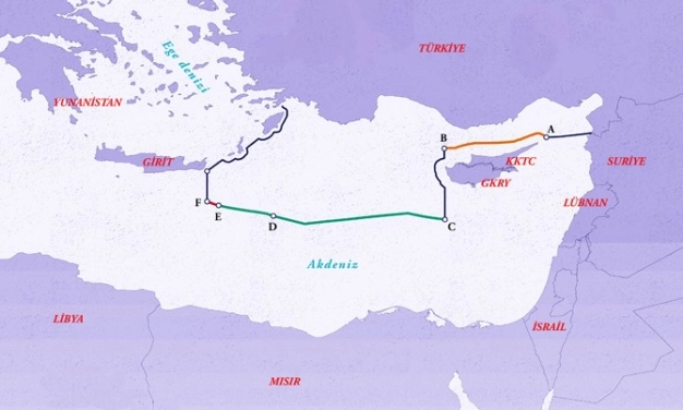 Akdeniz’de büyük balık mücadelesi