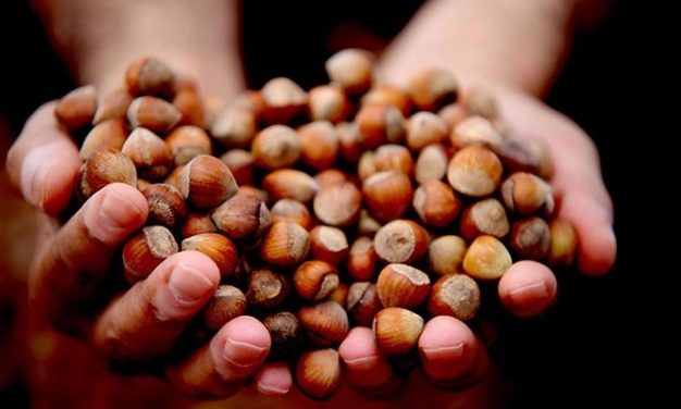 Gıda sektörünün 2020 ajandası