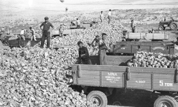 İhracatta yeni lokomotif arayışı