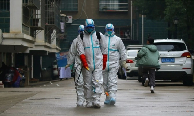 Virüs yerel risk küresel