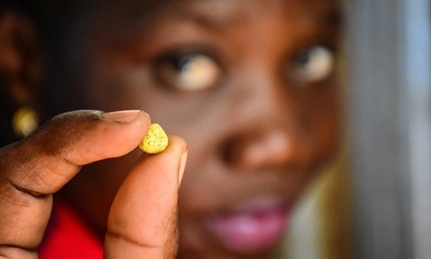 54 ülkeli Afrika’da bu sektörlerde iş var