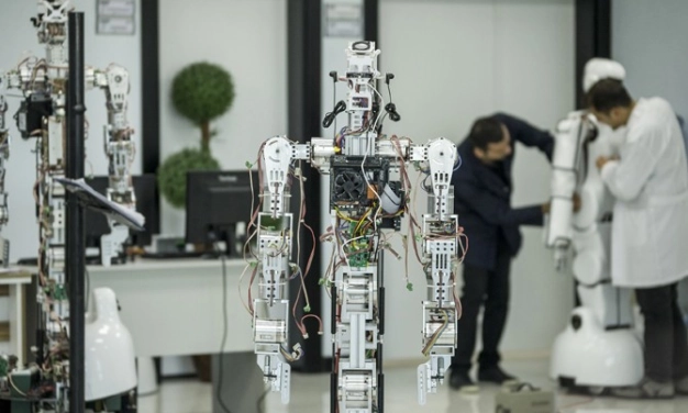 Teknoloji odaklı kamu destekleri