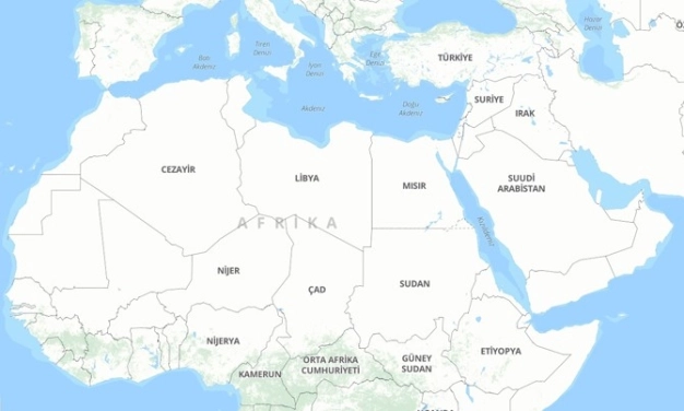 Afrika’nın tarlasında zirai işbirliğine çağrı