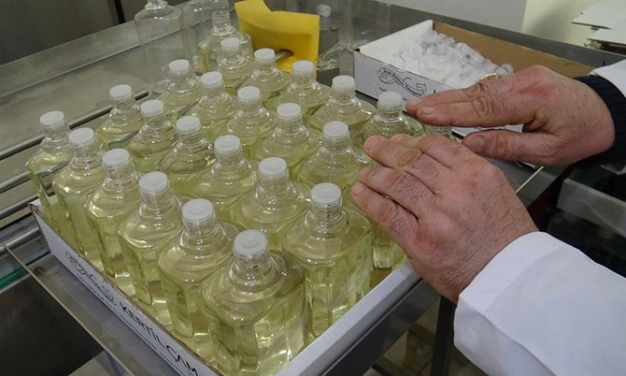 Hijyende etanol seferberliği