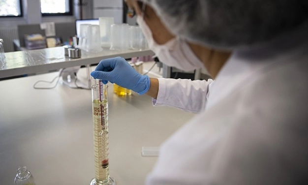 Hijyende etanol seferberliği