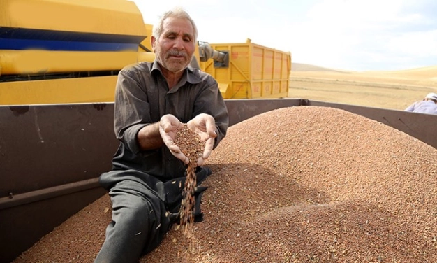 Tarımsal üretime DEVLET GÜVENCESİ