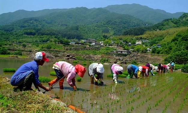 Ülkeler gıda için ‘TEDBİRLİ’