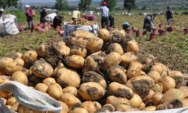 Ülkeler gıda için ‘TEDBİRLİ’
