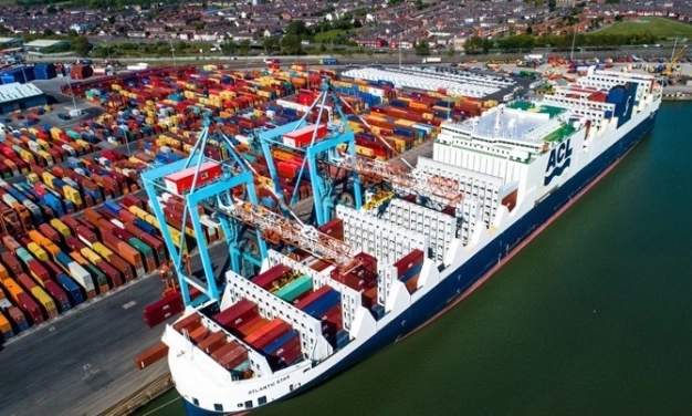 İthalata kayıt ve vergi önlemi