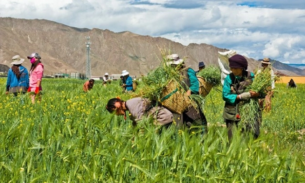 Ticari hayat kademeli açılıyor