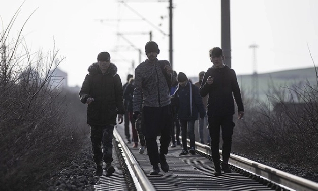 Sadece göç etmediler dünyayı zenginleştirdiler