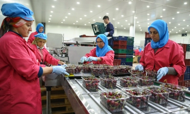 Meyve-sebze ihracatı 4 ayda yüzde 22 arttı