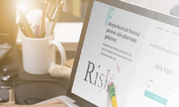 Kredi riskini alan ve yöneten girişim: Fanaliz