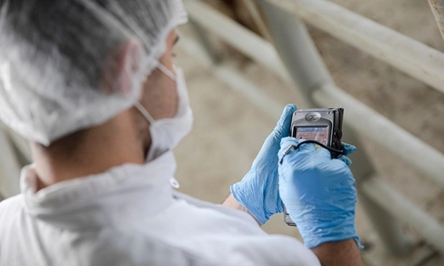 Güvenli kurban kesimi için yeni önlemler