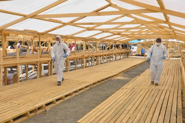 Kurban kesimine Covid-19 önlemi