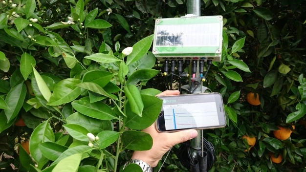 e-Tarım Portalı’ndan 138 hizmet sunuluyor