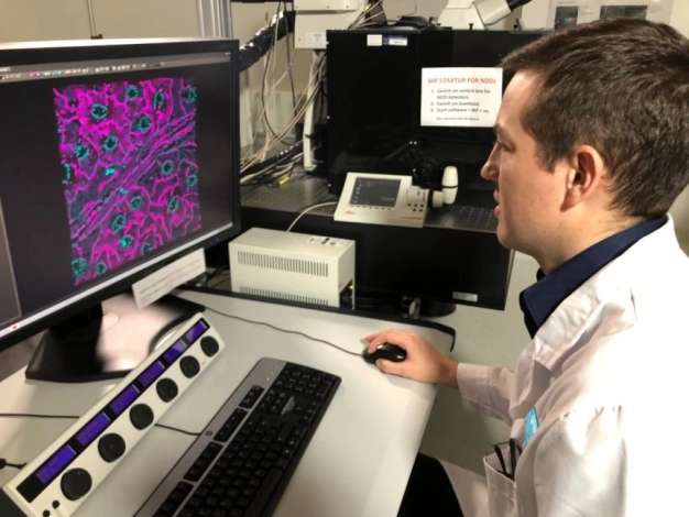 Renkli pamuk üretmek artık hayal değil