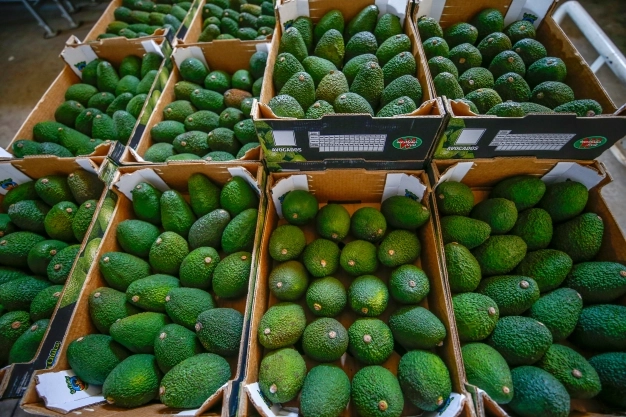 İhracatçılar ve üreticiler egzotik meyvelere yöneliyor