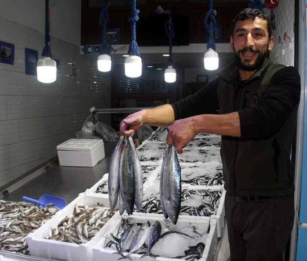 Palamutta güzel işaret, tezgahlar şenlenecek