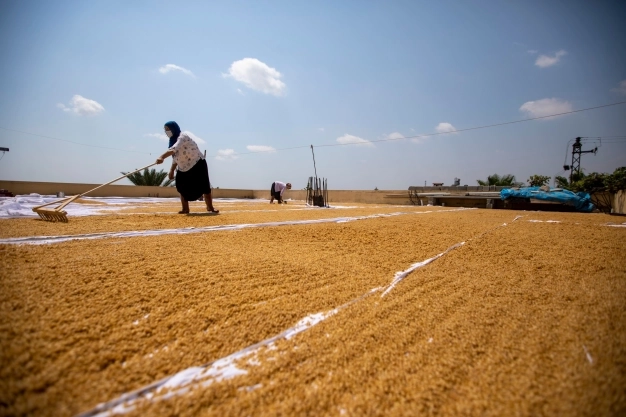 Kadın kooperatiflerine desteğin yüzde 75’i hibe