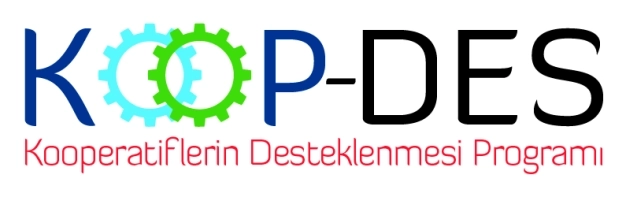 Kadın kooperatiflerine desteğin yüzde 75’i hibe