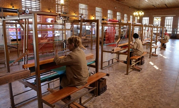 Yeni çağın mottosu kooperatif girişimcilik