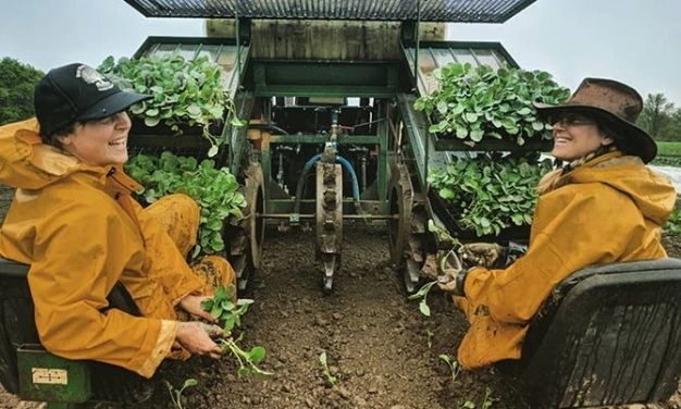 Yeni çağın mottosu kooperatif girişimcilik