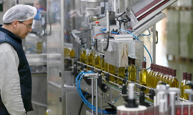 Yeni çağın mottosu kooperatif girişimcilik