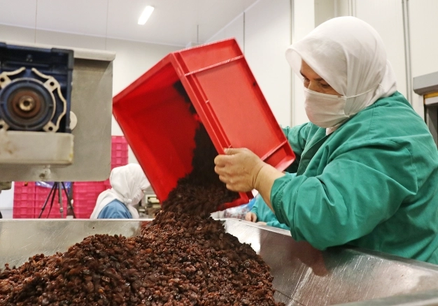 Türkiye, dünya kuru üzüm ihracatının yüzde 36’sını tek başına yapmayı hedefliyor