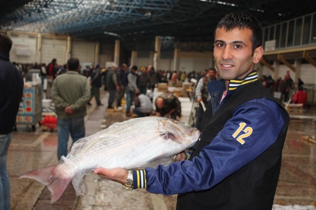 Organik tarıma dekar başına 100 lira destek