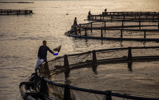 İstanbul başardı sıra Türkiye’de