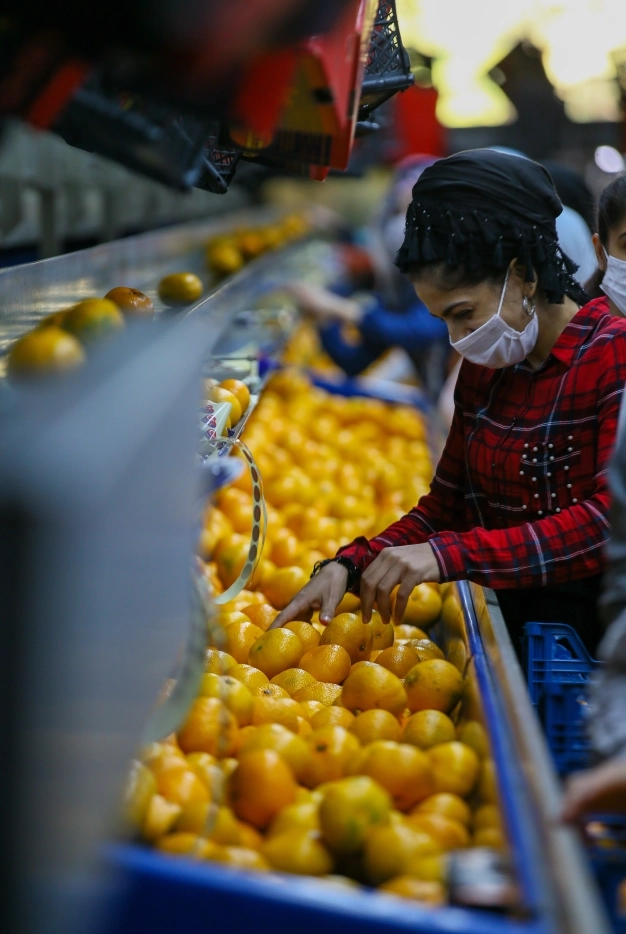 100 milyar dolarlık ticarete yol haritası