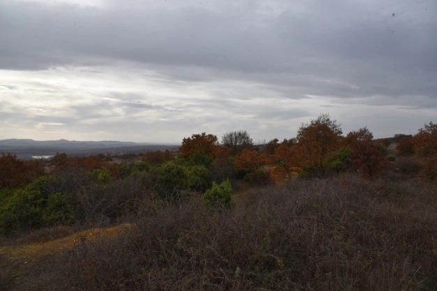 Bölgenin gıda üretim üssü olacak OSB