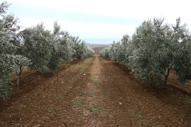 Tarım ÜFE kasımda aylık yüzde 3,52, yıllık yüzde 20,76 arttı